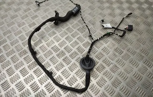 Volkswagen T-Roc Front door wiring loom 2GA971693A