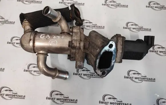 Fiat Doblo EGR valve 55219499