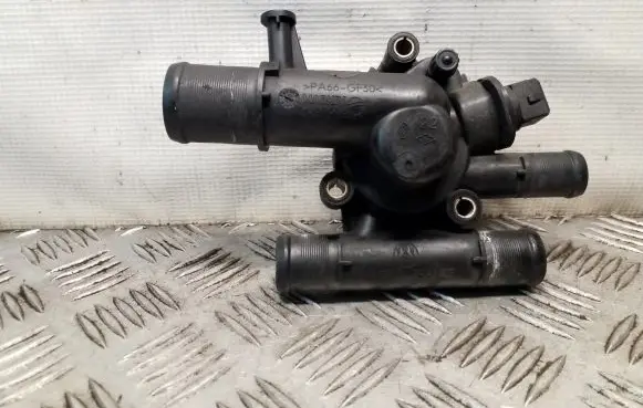 Thermostat/thermostat housing
