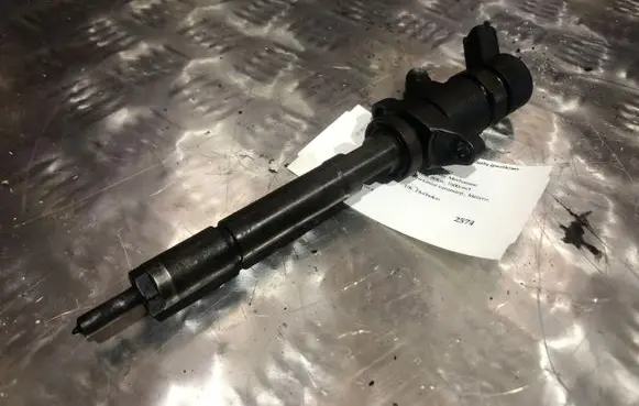 Citroen C4 I Fuel injector 0445110259