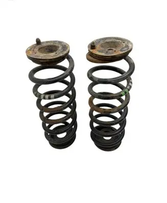 Rear coil spring
