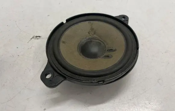 Panel speaker