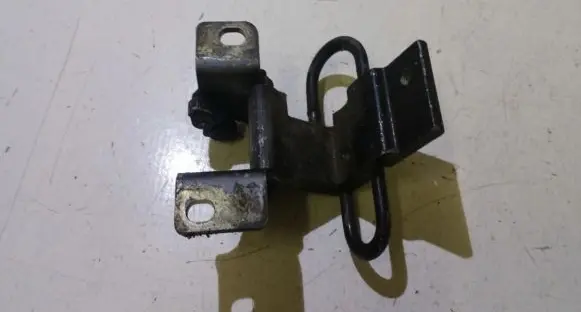 Rear door lower hinge