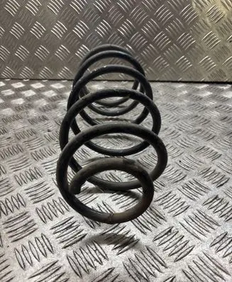 Front coil spring