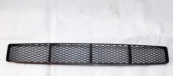 Ford Focus Front bumper lower grill 98aba018a58