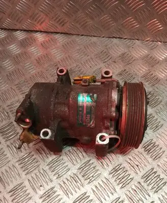 Peugeot 206 Air conditioning (A/C) compressor (pump) 1549712244 SD6V12
