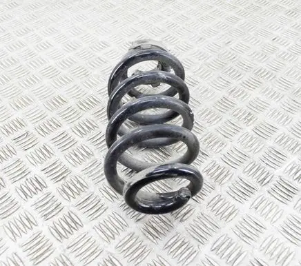 Volkswagen ID.4 Rear coil spring 1EA511103H