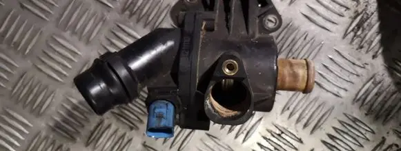 Thermostat/thermostat housing