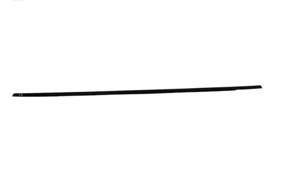 Renault Clio III Rubber seal front coupe door window 