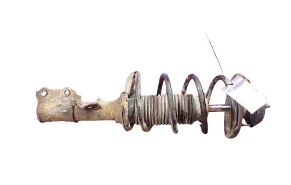 Hyundai i10 Front shock absorber with coil spring