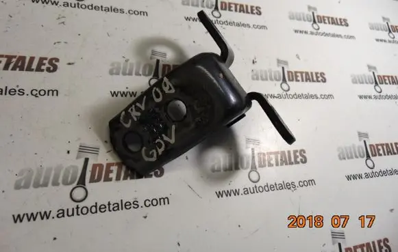 Rear door lower hinge