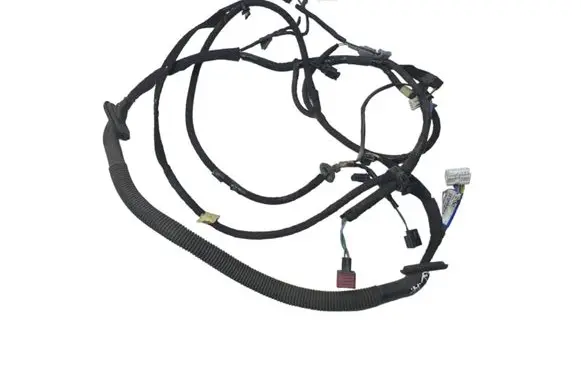 Rear door wiring loom