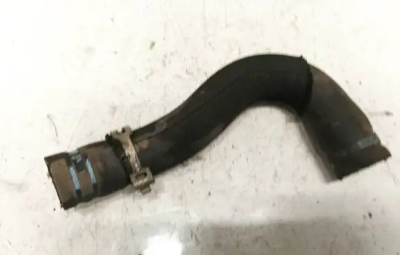 Citroen Berlingo Engine coolant pipe/hose