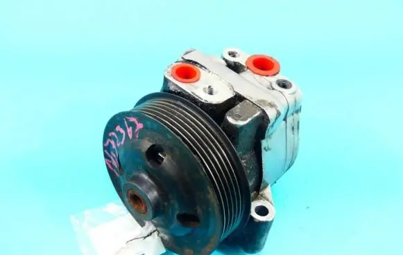 Electric power steering pump