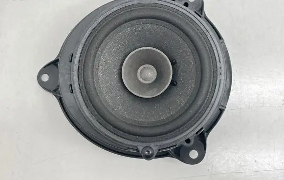 Renault Kangoo II Front door speaker 8200495686 09HFU8200686