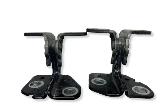Dodge RAM 1500 DS Rear door hinge set 1120038