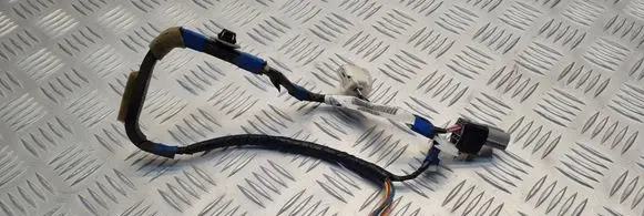Lexus IS 220D-250-350 Front door wiring loom 8974653010