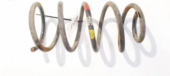 Rear coil spring