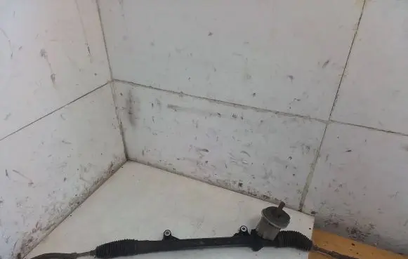 Renault Megane II Steering rack