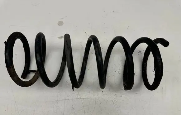 Rear coil spring