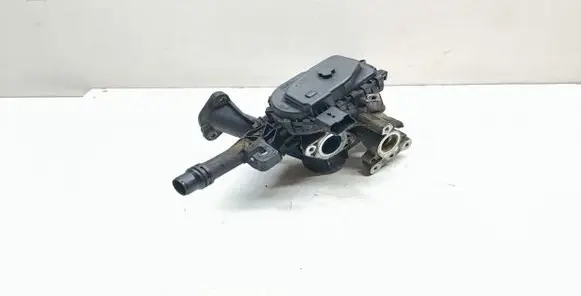 Peugeot 308 EGR valve 9807369980