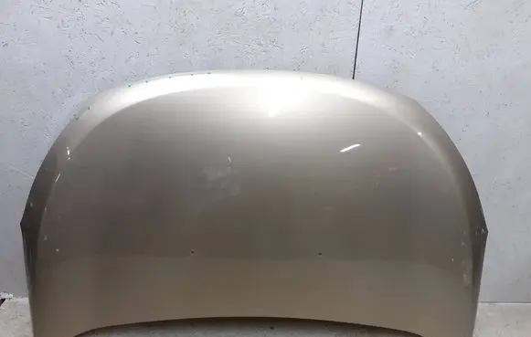 Dacia Dokker Engine bonnet/hood