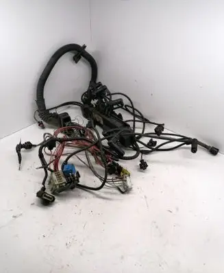 Engine installation wiring loom