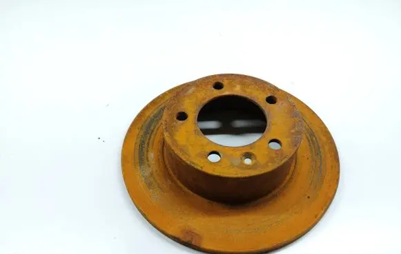 Rear brake disc