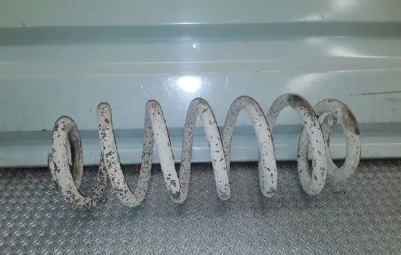 Rear coil spring