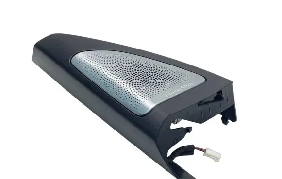 Front door high frequency speaker