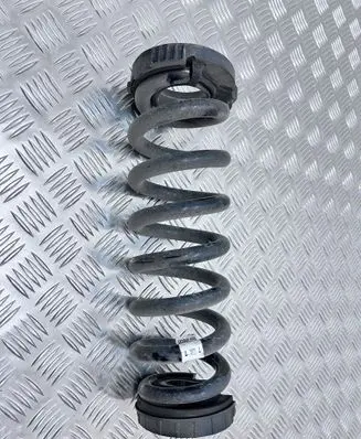 Rear coil spring