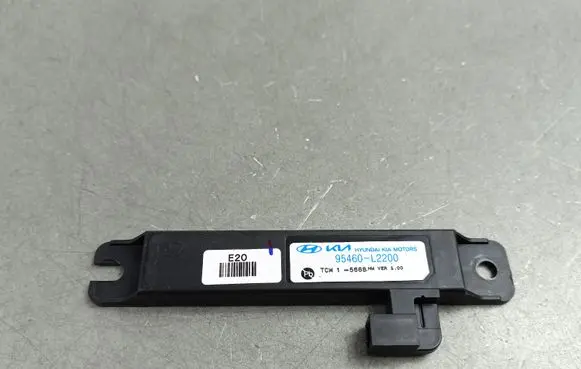 Hyundai Santa Fe V MX5 Keyless system antenna 95460L2200