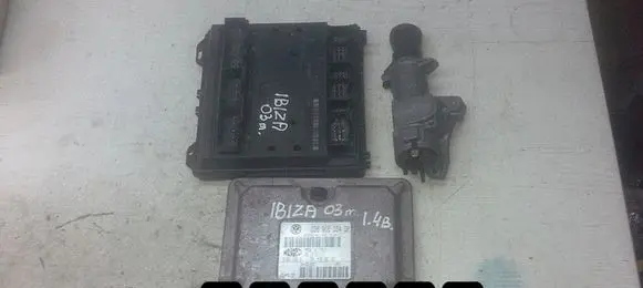 Seat Ibiza III (6L) Engine control unit/module 036906034GM