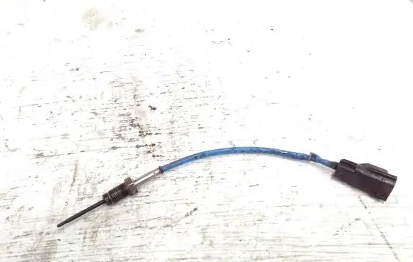 Ford Transit Custom Exhaust gas temperature sensor 8C1112B591CA