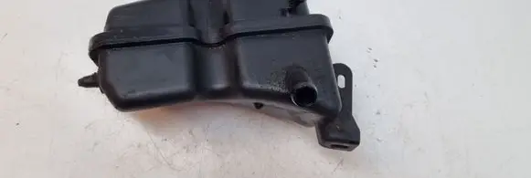 Peugeot 406 Power steering fluid tank/reservoir 9632380280