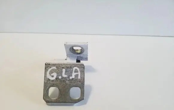 Rear door lower hinge