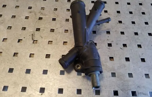 Thermostat/thermostat housing