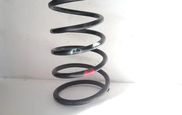 Nissan X-Trail T30 Rear coil spring