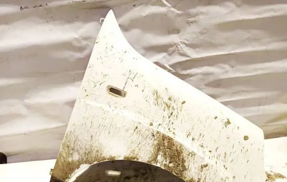 Fiat Doblo Fender balta