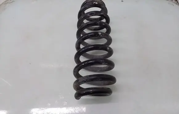 Rear coil spring