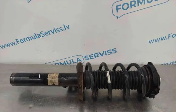 Volkswagen PASSAT B7 Front shock absorber/damper 3C0413031N 824904007825 993118