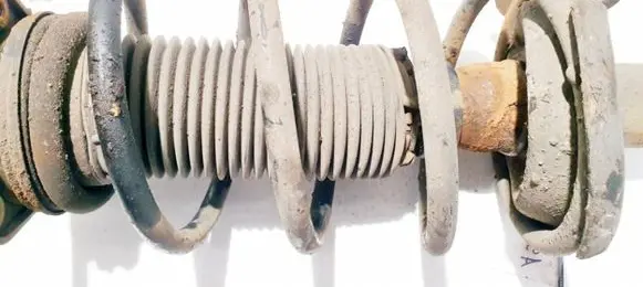 Ford Focus Front coil spring