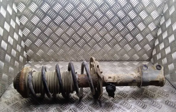 Opel Zafira B Front shock absorber with coil spring 22214013 24466547