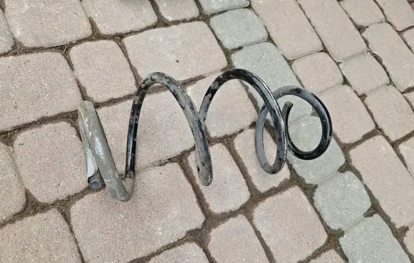 Renault Zoe Rear coil spring 878539800000357410