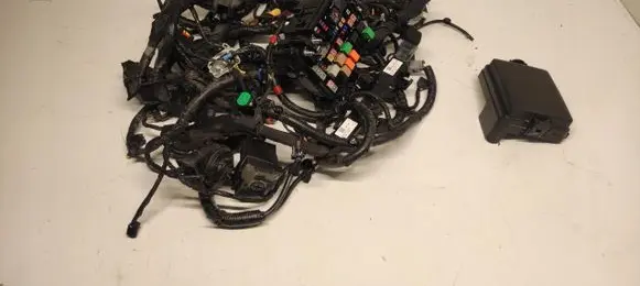 Hyundai i20 (BC3 BI3) Other wiring loom 91217-Q0130