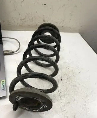 Volkswagen Golf V Rear coil spring