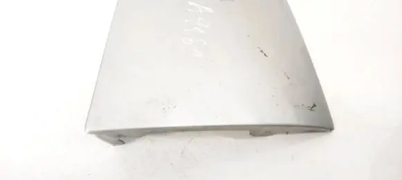 Rear/tail light trim molding