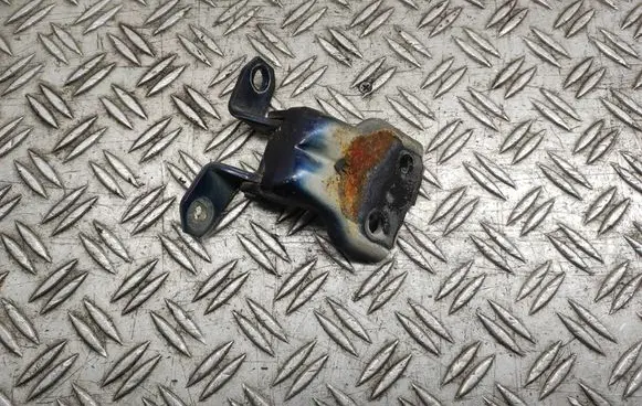 Suzuki SX4 Front door lower hinge 63JJ