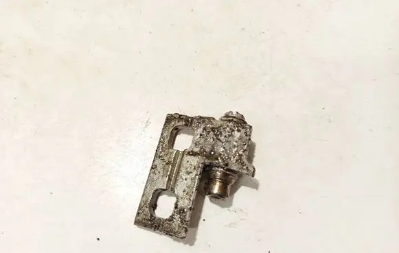 BMW 3 E46 Rear door lower hinge