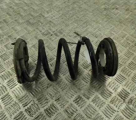 Tesla Model Y Rear coil spring 118847400B